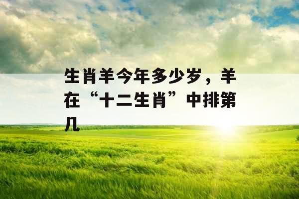 生肖羊今年多少岁，羊在“十二生肖”中排第几