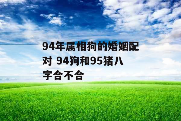 94年属相狗的婚姻配对 94狗和95猪八字合不合