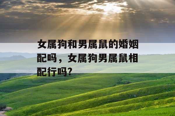 女属狗和男属鼠的婚姻配吗，女属狗男属鼠相配行吗?