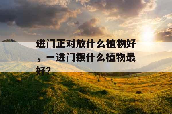 进门正对放什么植物好，一进门摆什么植物最好？