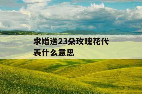 求婚送23朵玫瑰花代表什么意思