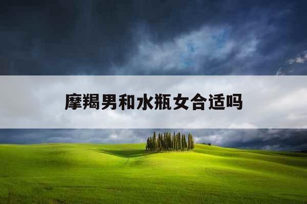 摩羯男和水瓶女合适吗