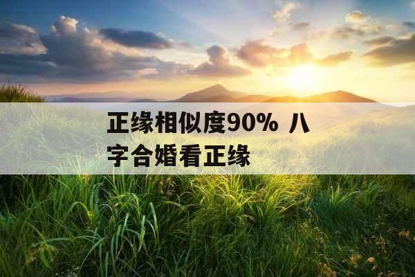 正缘相似度90% 八字合婚看正缘 正缘相似度90% 八字合婚看正缘