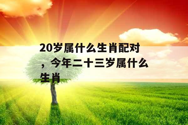 20岁属什么生肖配对，今年二十三岁属什么生肖