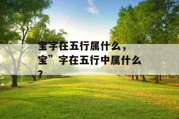 宝字在五行属什么，“宝”字在五行中属什么？