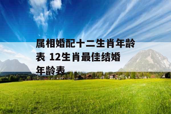 属相婚配十二生肖年龄表 12生肖最佳结婚年龄表