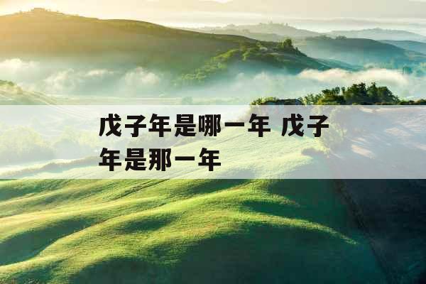 戊子年是哪一年 戊子年是那一年 戊子年是哪一年 戊子年是那一年