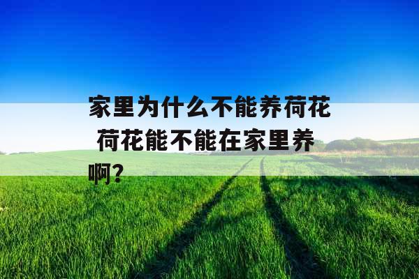 家里为什么不能养荷花 荷花能不能在家里养啊？