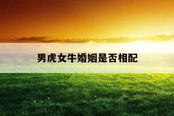 男虎女牛婚姻是否相配 男虎女牛婚姻是否相配