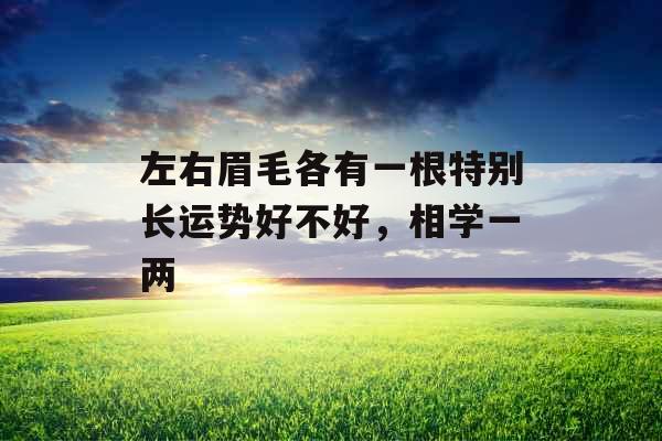 左右眉毛各有一根特别长运势好不好,相学一两 左右眉毛各有一根特别长运势好不好,相学一两
