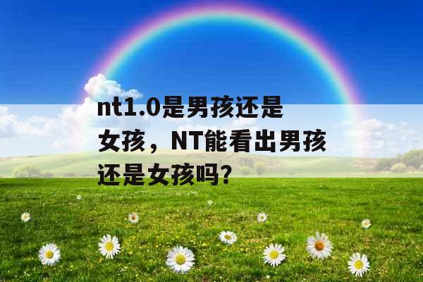 nt1.0是男孩还是女孩，NT能看出男孩还是女孩吗？