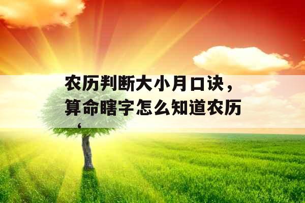 农历判断大小月口诀,算命瞎字怎么知道农历‘ 农历判断大小月口诀,算命瞎字怎么知道农历‘