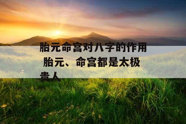 胎元命宫对八字的作用 胎元、命宫都是太极贵人