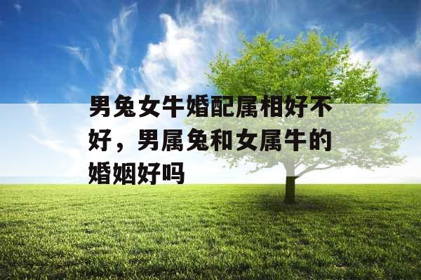 男兔女牛婚配属相好不好,男属兔和女属牛的婚姻好吗 男兔女牛婚配属相好不好,男属兔和女属牛的婚姻好吗