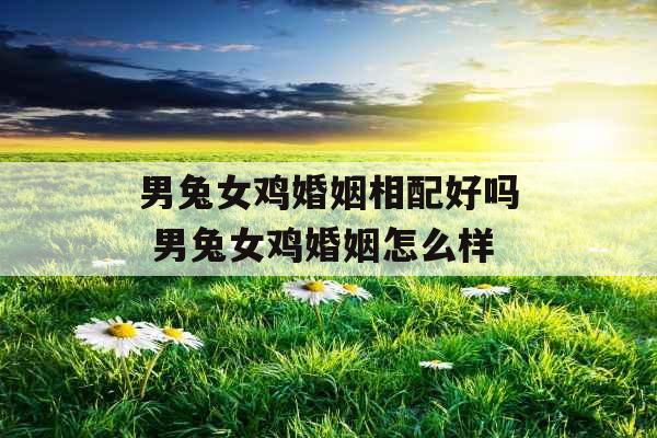 男兔女鸡婚姻相配好吗 男兔女鸡婚姻怎么样