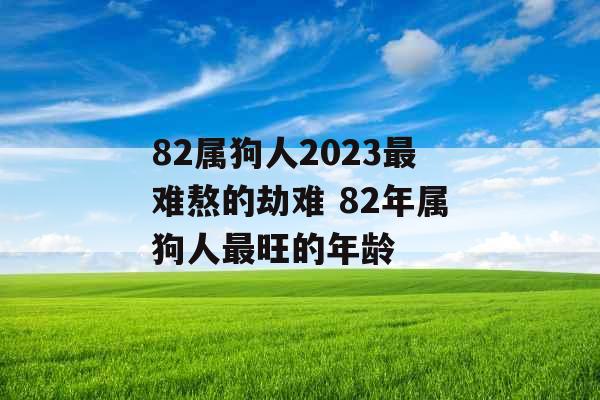 82属狗人2023最难熬的劫难 82年属狗人最旺的年龄