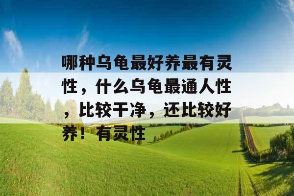 哪种乌龟最好养最有灵性,什么乌龟最通人性,比较干净,还比较好养!有灵性 哪种乌龟最好养最有灵性,什么乌龟最通人性,比较干净,还比较好养!有灵性