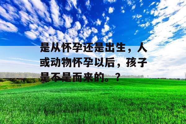 是从怀孕还是出生,人或动物怀孕以后,孩子是不是而来的。?