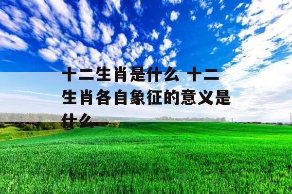 十二生肖是什么 十二生肖各自象征的意义是什么