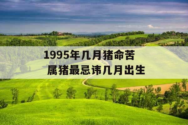 1995年几月猪命苦 属猪最忌讳几月出生