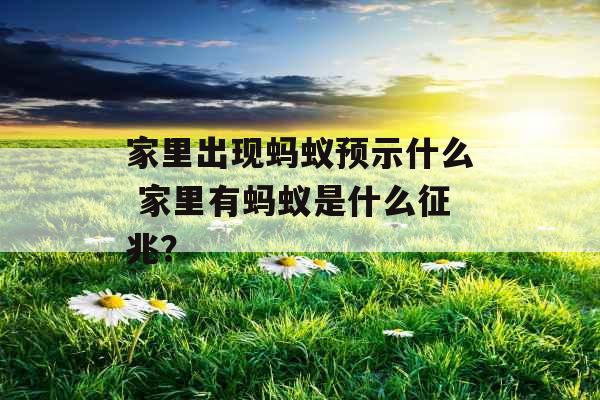 家里出现蚂蚁预示什么 家里有蚂蚁是什么征兆？
