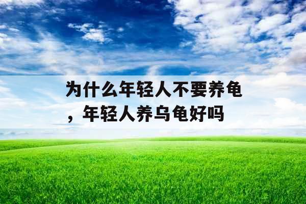 为什么年轻人不要养龟，年轻人养乌龟好吗