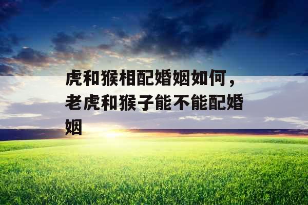 虎和猴相配婚姻如何，老虎和猴子能不能配婚姻