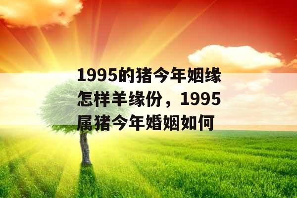 1995的猪今年姻缘怎样羊缘份，1995属猪今年婚姻如何