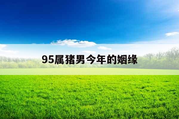 95属猪男今年的姻缘