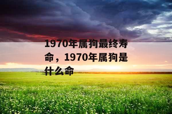 1970年属狗最终寿命，1970年属狗是什么命
