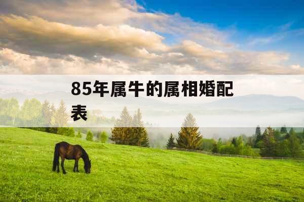 85年属牛的属相婚配表