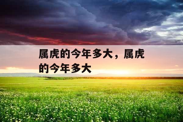 属虎的今年多大,属虎的今年多大
