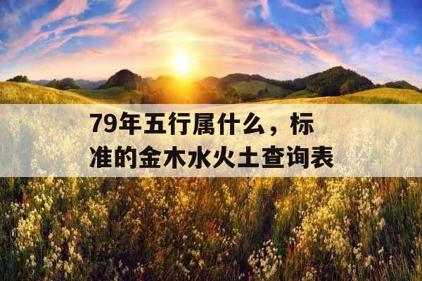 79年五行属什么，标准的金木水火土查询表