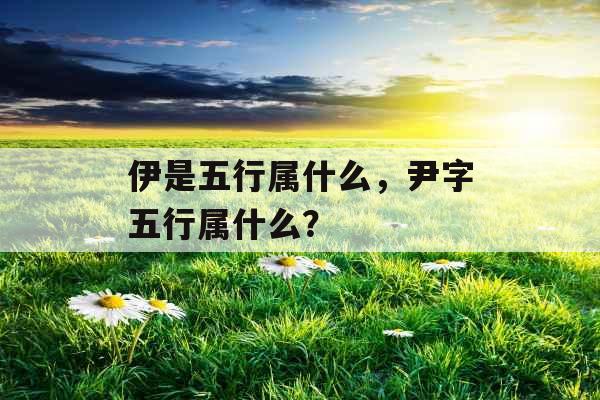 伊是五行属什么，尹字五行属什么？