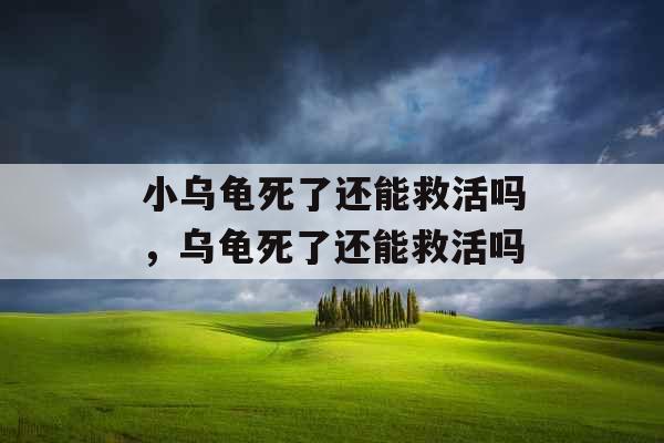 小乌龟死了还能救活吗，乌龟死了还能救活吗