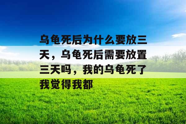 乌龟死后为什么要放三天,乌龟死后需要放置三天吗,我的乌龟死了我觉得我都 乌龟死后为什么要放三天,乌龟死后需要放置三天吗,我的乌龟死了我觉得我都