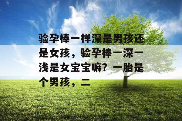验孕棒一样深是男孩还是女孩,验孕棒一深一浅是女宝宝嘛?一胎是个男孩,二 验孕棒一样深是男孩还是女孩,验孕棒一深一浅是女宝宝嘛?一胎是个男孩,二