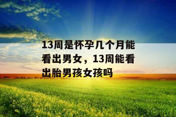 13周是怀孕几个月能看出男女，13周能看出胎男孩女孩吗