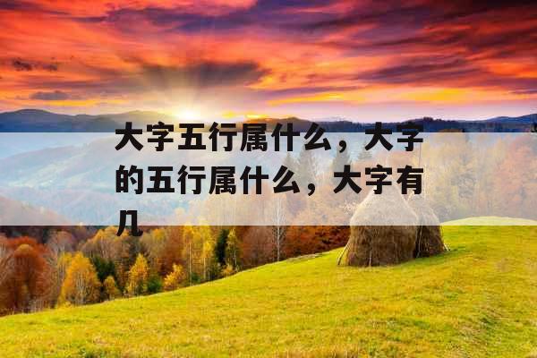 大字五行属什么,大字的五行属什么,大字有几 大字五行属什么,大字的五行属什么,大字有几