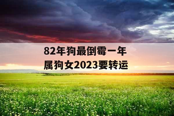 82年狗最倒霉一年 属狗女2023要转运