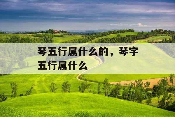 琴五行属什么的,琴字五行属什么 琴五行属什么的,琴字五行属什么