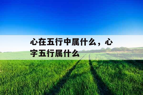 心在五行中属什么，心字五行属什么