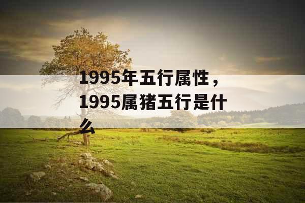 1995年五行属性,1995属猪五行是什么 1995年五行属性,1995属猪五行是什么