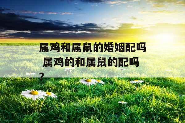 属鸡和属鼠的婚姻配吗 属鸡的和属鼠的配吗？