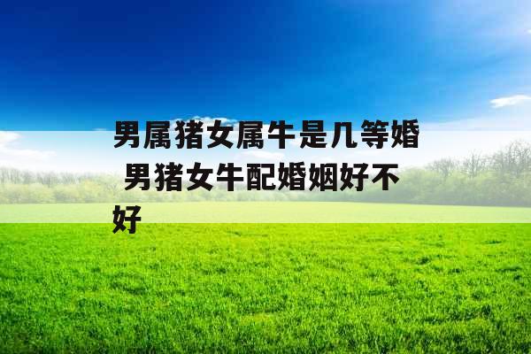 男属猪女属牛是几等婚 男猪女牛配婚姻好不好