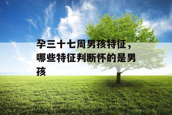 孕三十七周男孩特征，哪些特征判断怀的是男孩