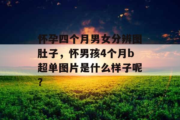 怀孕四个月男女分辨图肚子，怀男孩4个月b超单图片是什么样子呢？
