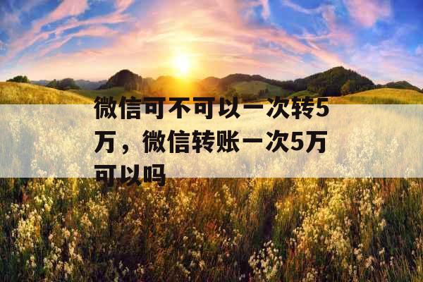 微信可不可以一次转5万，微信转账一次5万可以吗