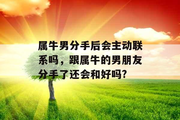 属牛男分手后会主动联系吗，跟属牛的男朋友分手了还会和好吗?