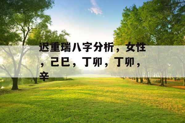 迟重瑞八字分析，女性，己巳，丁卯，丁卯，辛